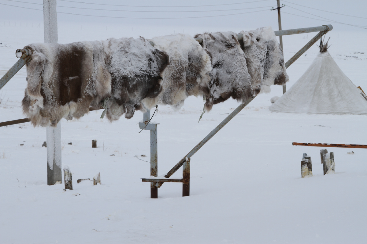 Фото: Антонина Серасхова