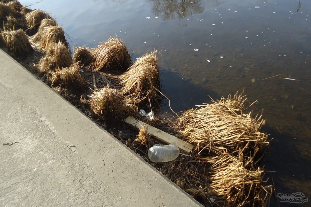    Фото: читатель © ИА «Уральский меридиан»