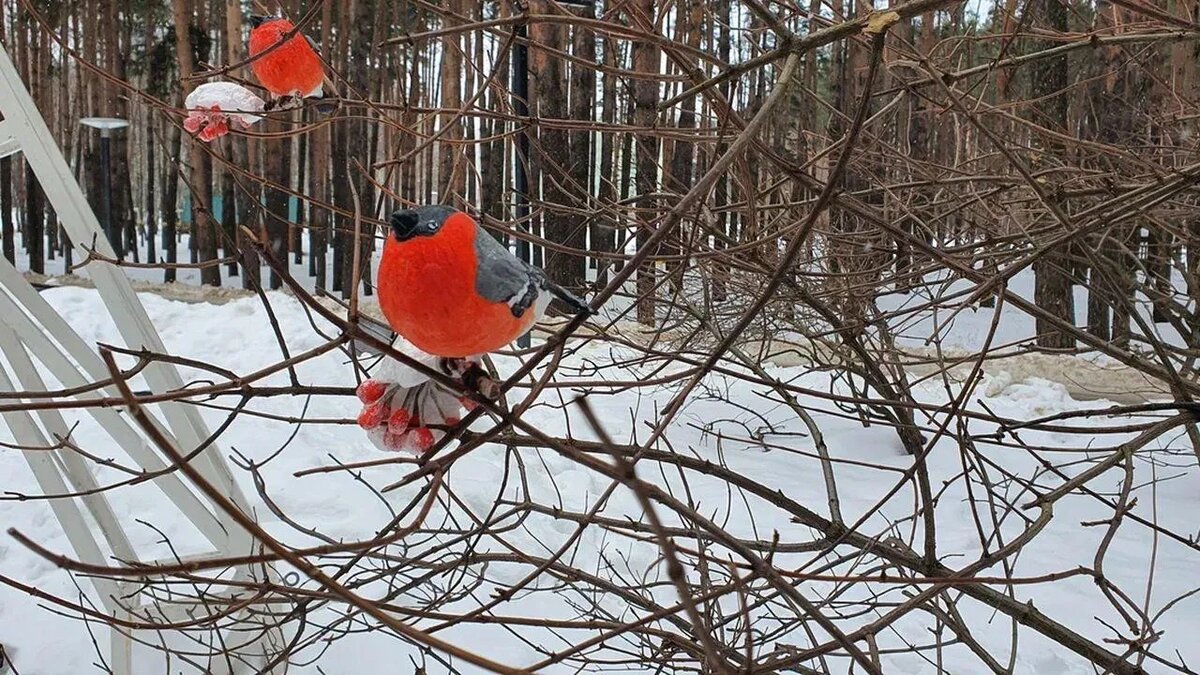 / Фото: REGIONS/Наталья Надточая