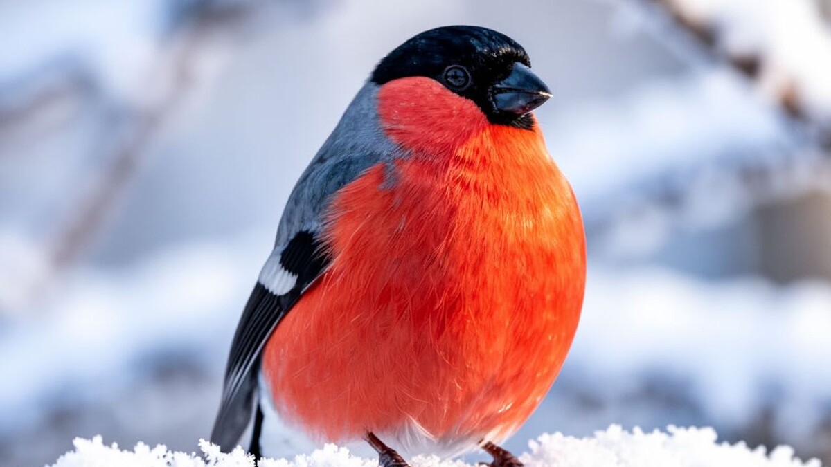 Фото: REGIONS/Сгенерировано нейросетью