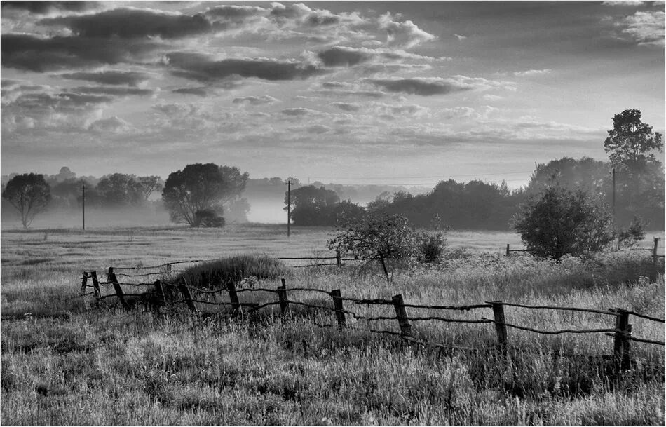 Взято из открытых источников интернета Яндекс.