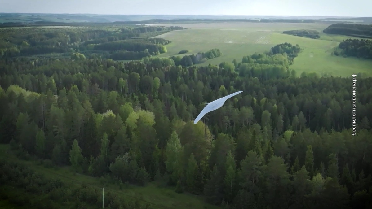 Источник: беспилотныевойска.рф