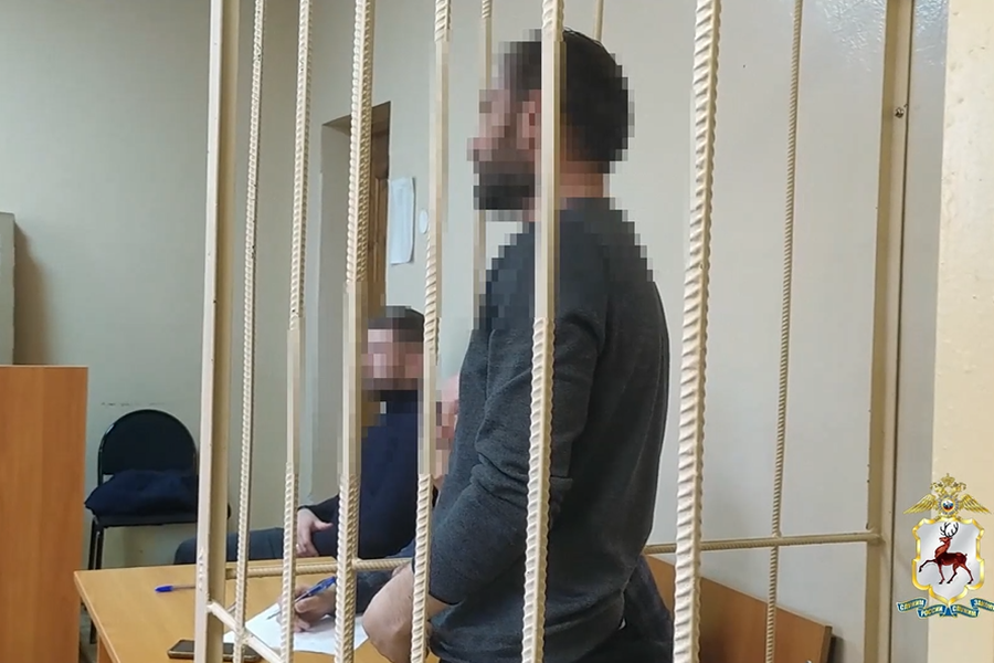 Фото: ГУ МВД по Нижегородской области