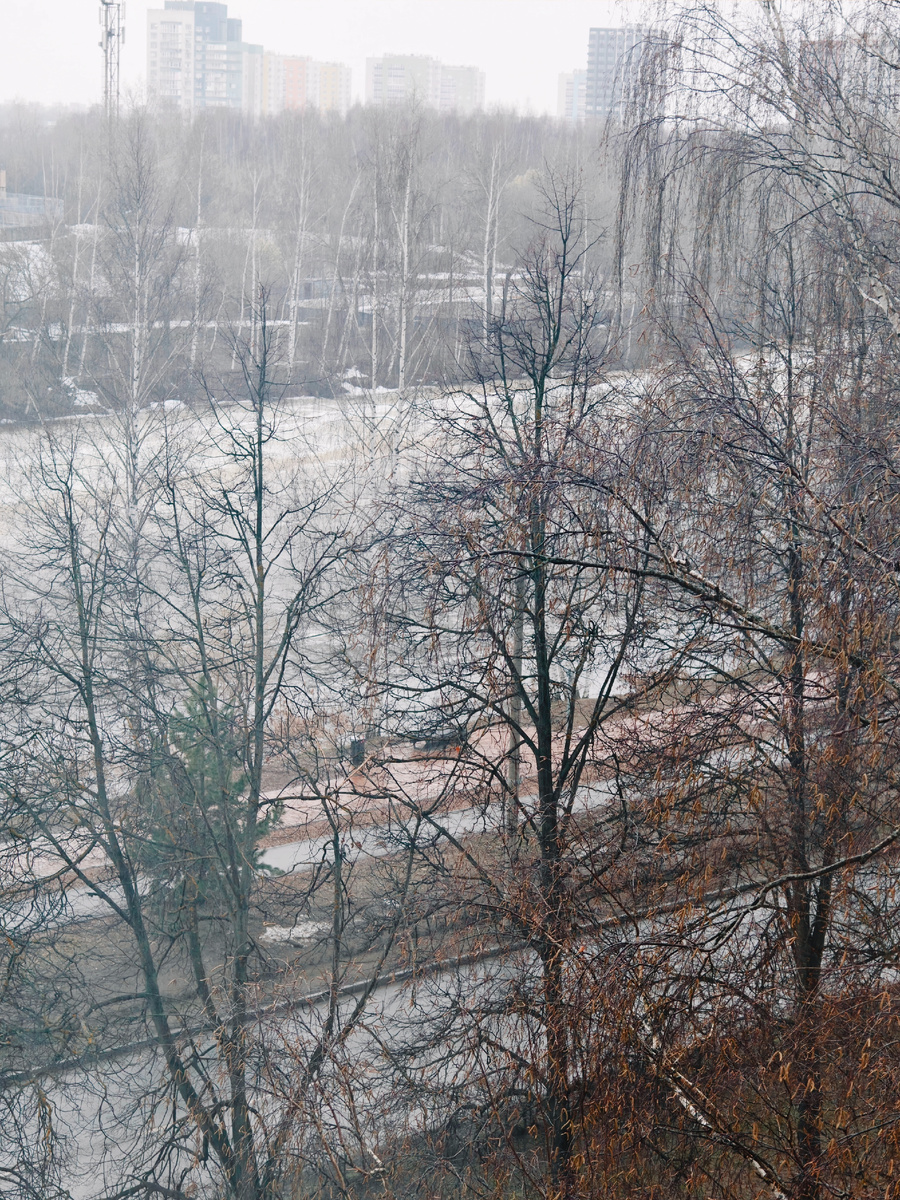 Утреннее фото автора - практически ноябрьский пейзаж