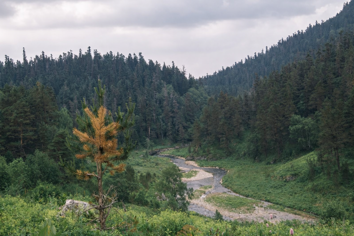Река впадающая в Курджипс