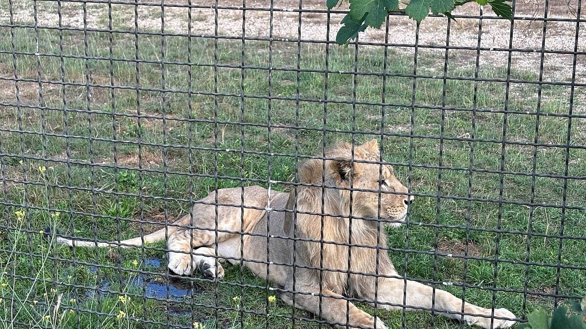    Фото: телеканал «Краснодар»