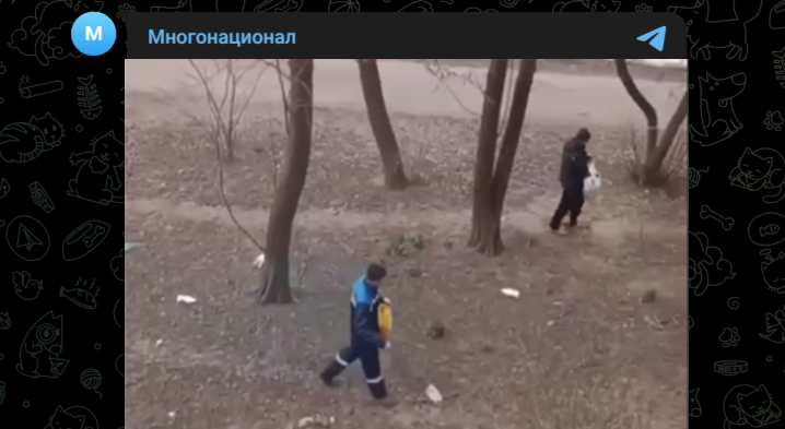 Иллюзия чистоты: мигранты в Подольске разбрасывают один и тот же мусор, имитируя работу