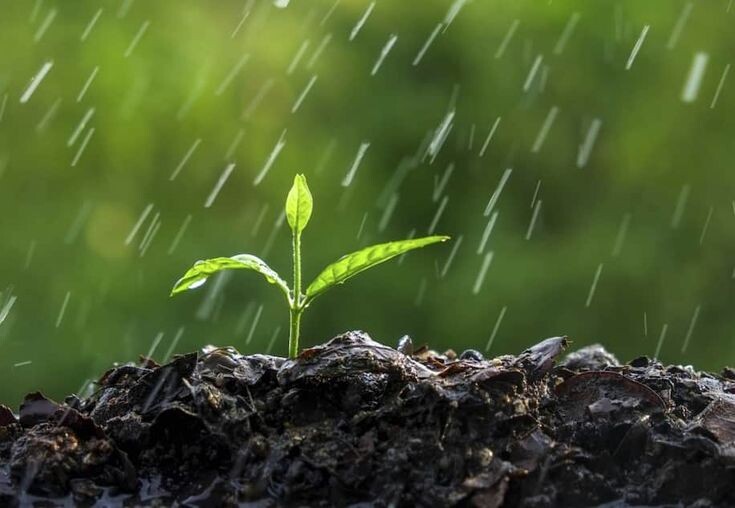 Фото естественно не моё 🙂