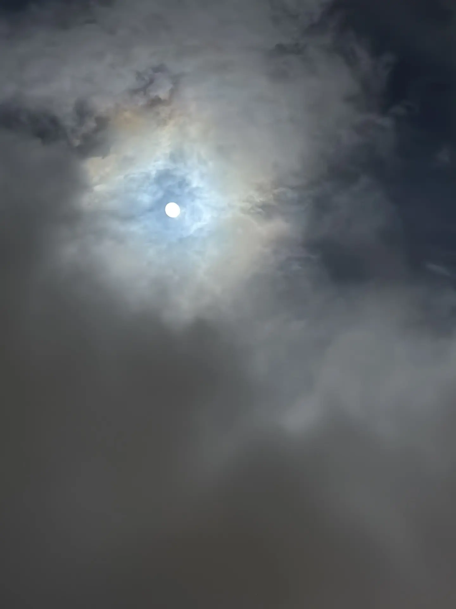 Муж вчера Луну фотографировал, у нас уже традиция: если с Луной на небе происходит что-то особенно-красивое - он фотографирует мне 🌕📸