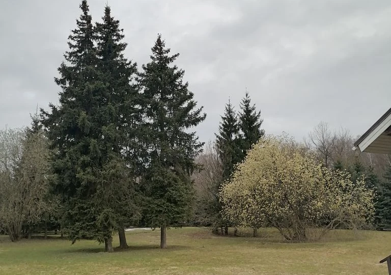 Почитала отзывы и опустились руки.