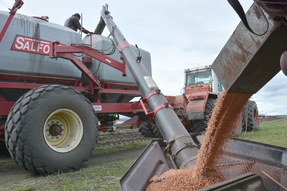 Фото: Пресс-служба минсельхоза Челябинской области
