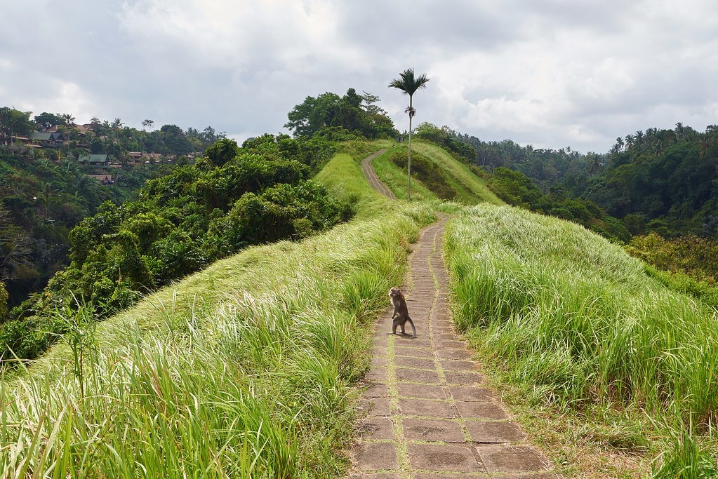 Автор фото: Alexandra Khazanova. Источник: Flickr