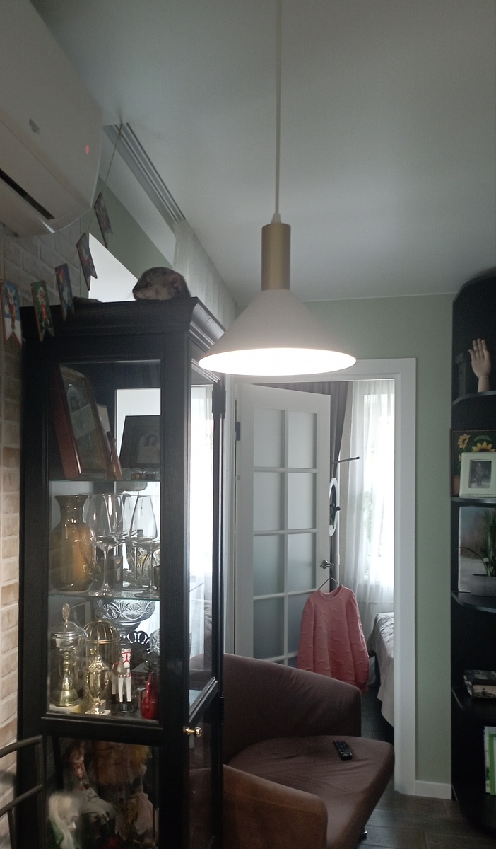 Сегодня Сонечка легко забралась на шкаф