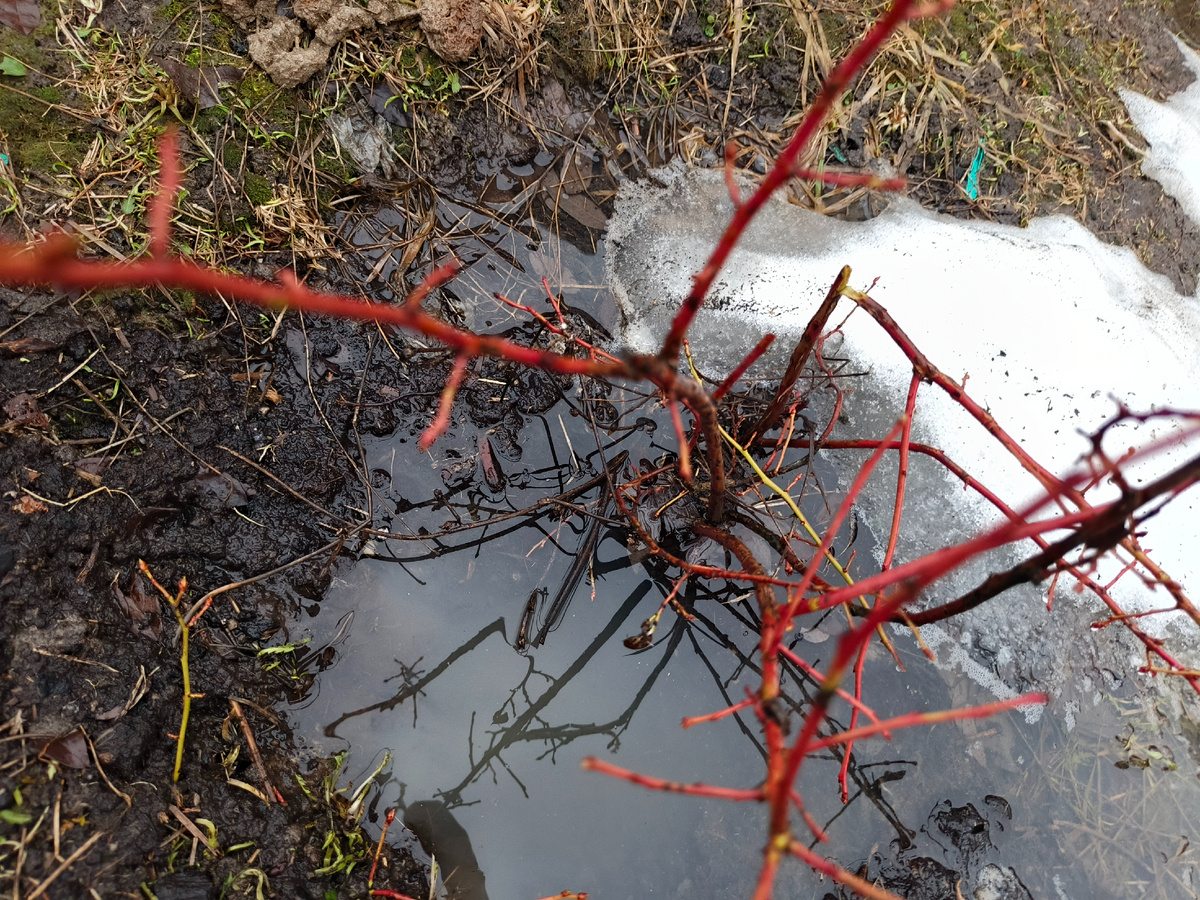 Вся боль в одном фото