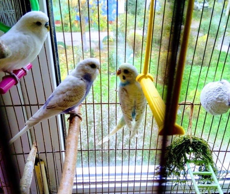 Мягкий свет и приглушенные звуки создают уют