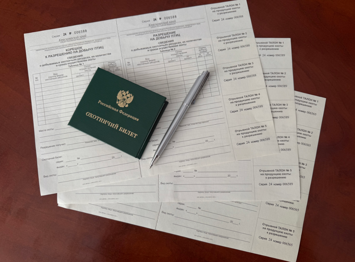     6 апреля в Красноярском крае стартует прием заявлений на охотничьи разрешения