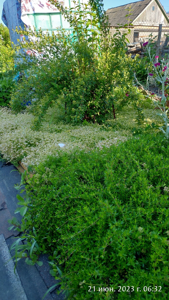 Спустя пару лет.