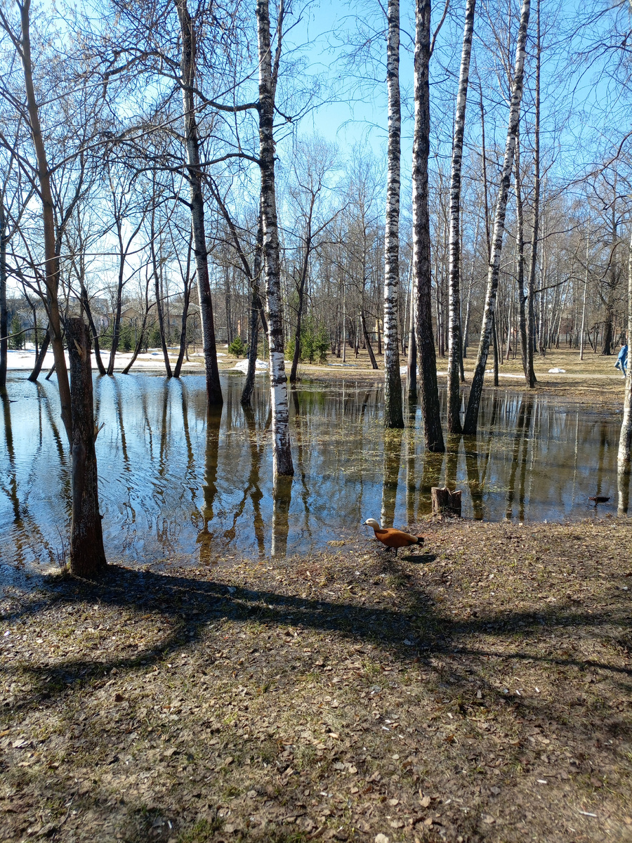 Прогулка в городском парке в обеденный перерыв