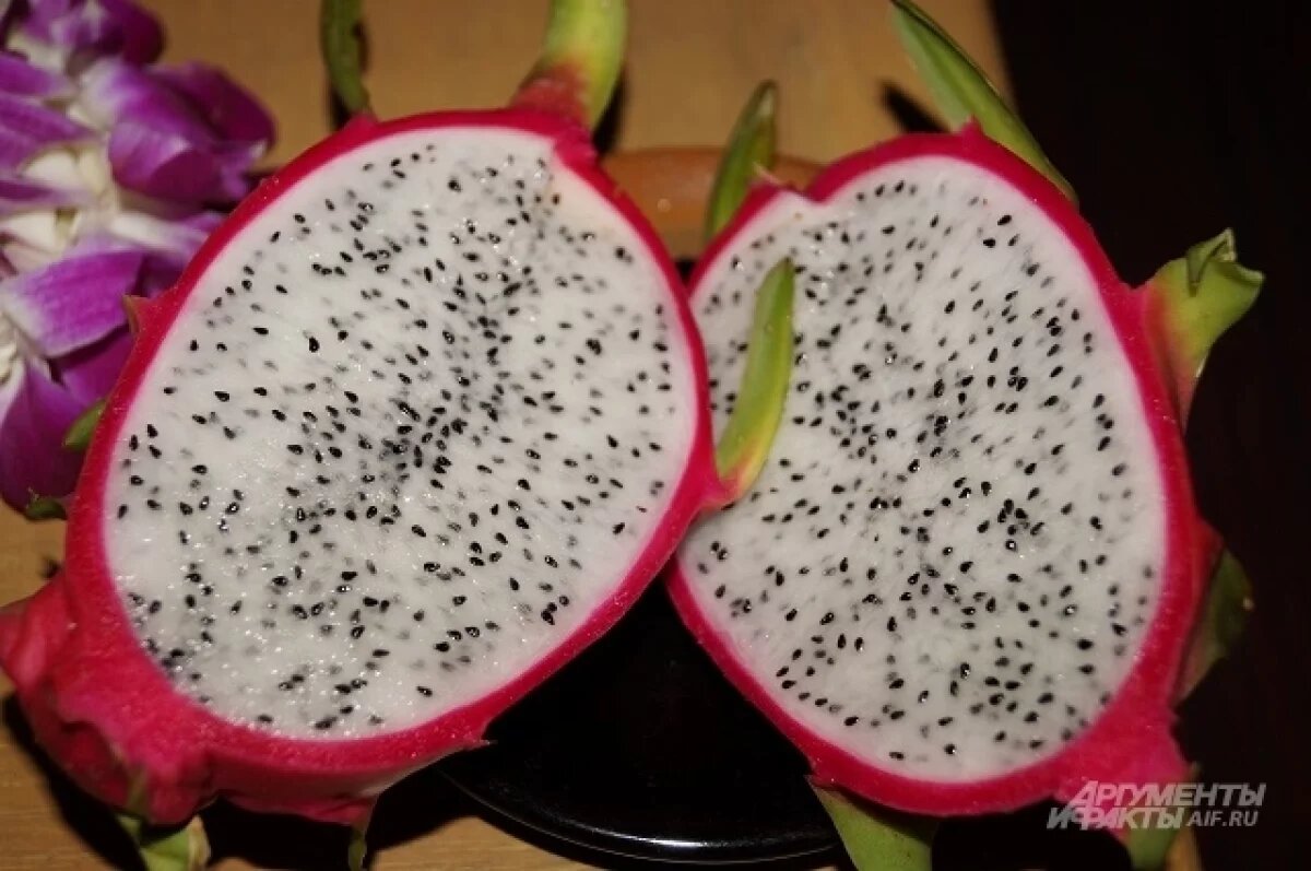    В Югре школьники выращивают экзотические растения и фрукты