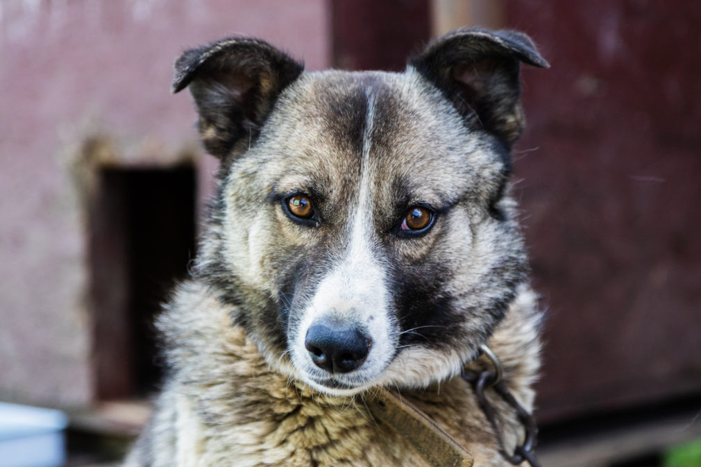    Фото: СвоёТВ/Сергей Пархисенко Сергей Иванов