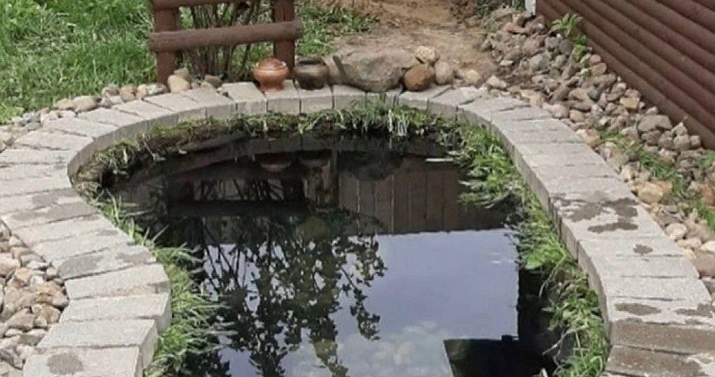 Пруд на участке своими руками: с чего начать