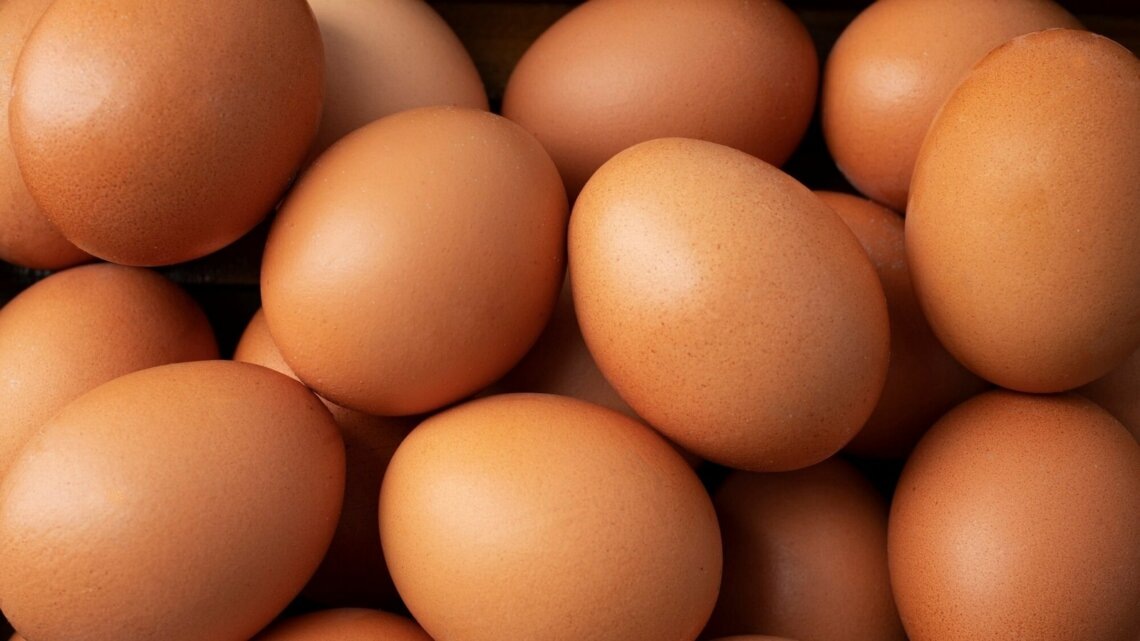    фото: freepik / freepik.com