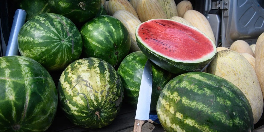 В Екатеринбург из Ирана завезли первую партию главного символа лета