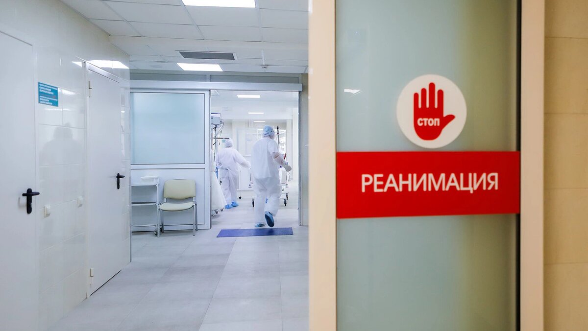    Фото: Антон Вергун