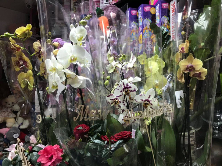 Фото автора Зоны Комфорта