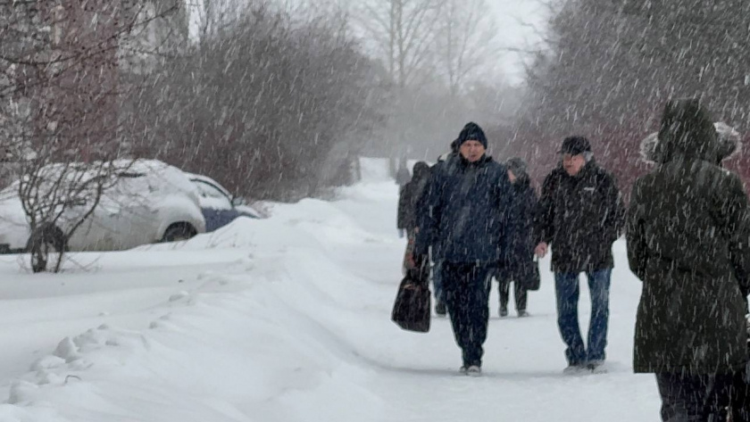    Фото prochepetsk.ru