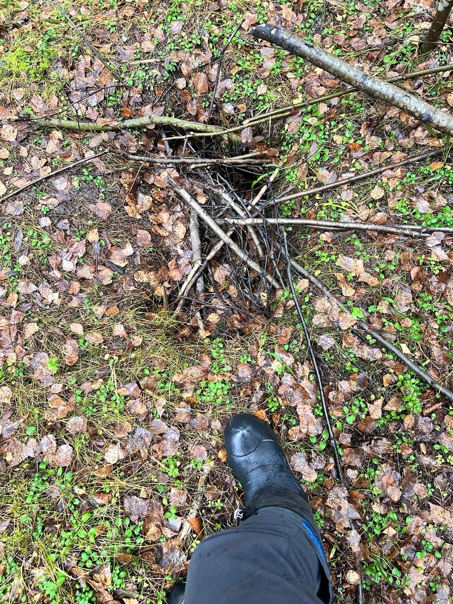 Если рядом есть ручей или лесная речка - то такой провал в земле точно не случайность!