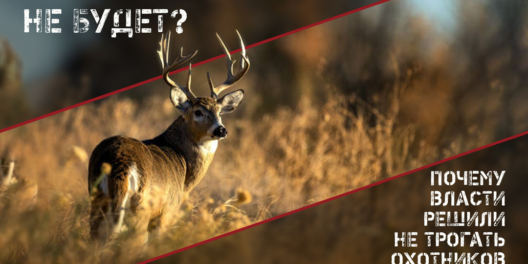 Правила охоты останутся без изменений до 2032 года