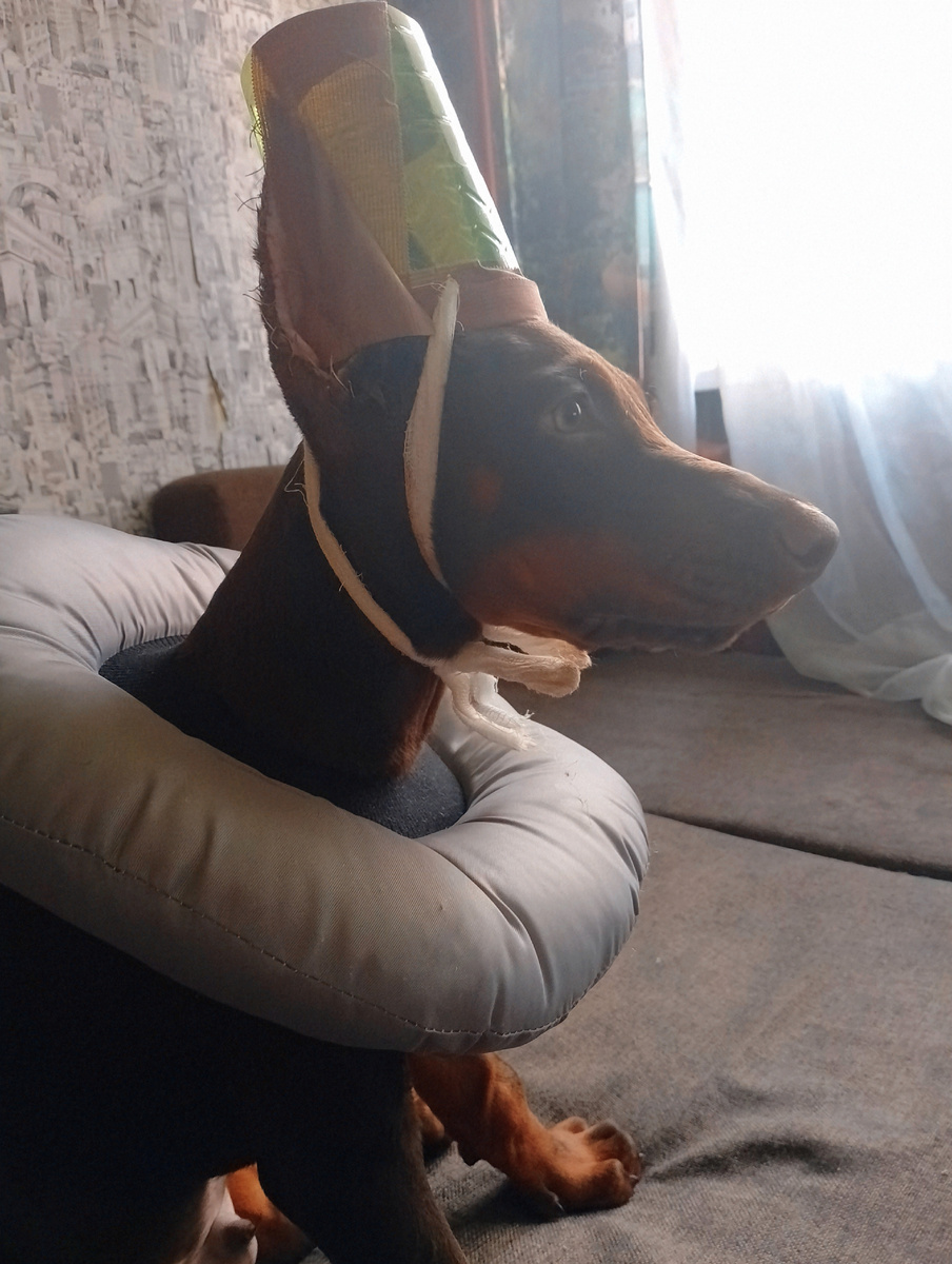 А вот уже дома на бодрячке)