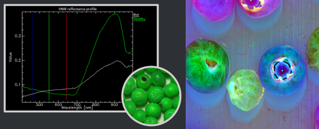 Пример данных, полученных при помощи гиперспектральной камеры