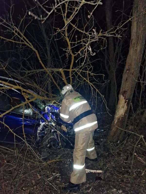     © фото - Противопожарная служба Курской области