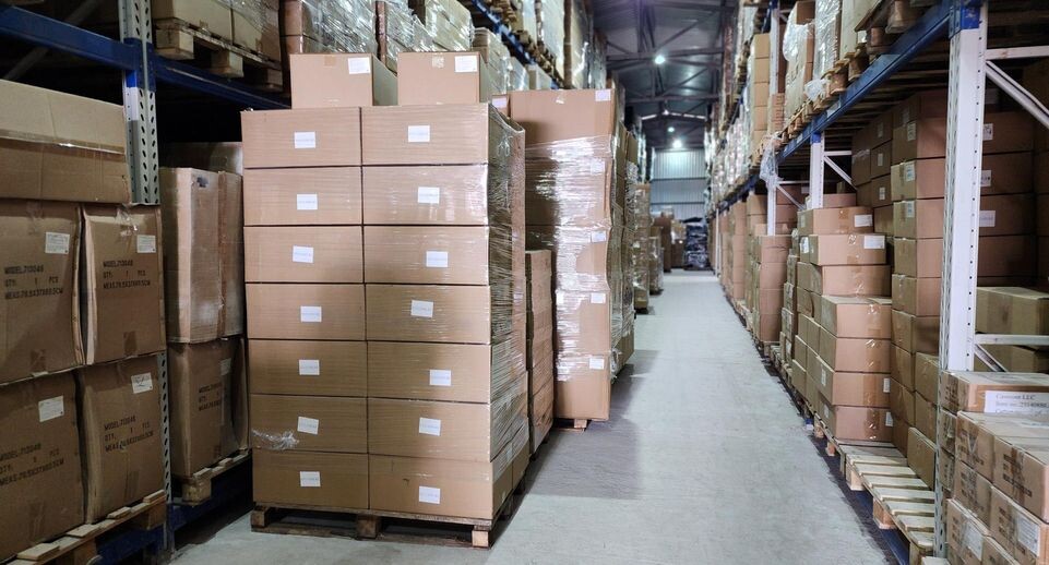    Анна Шолохова