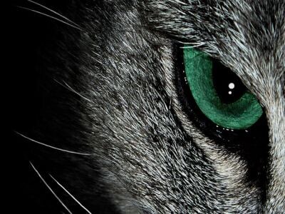    Alibaba представила «портретный» ИИ-генератор Wan 2.7-Image