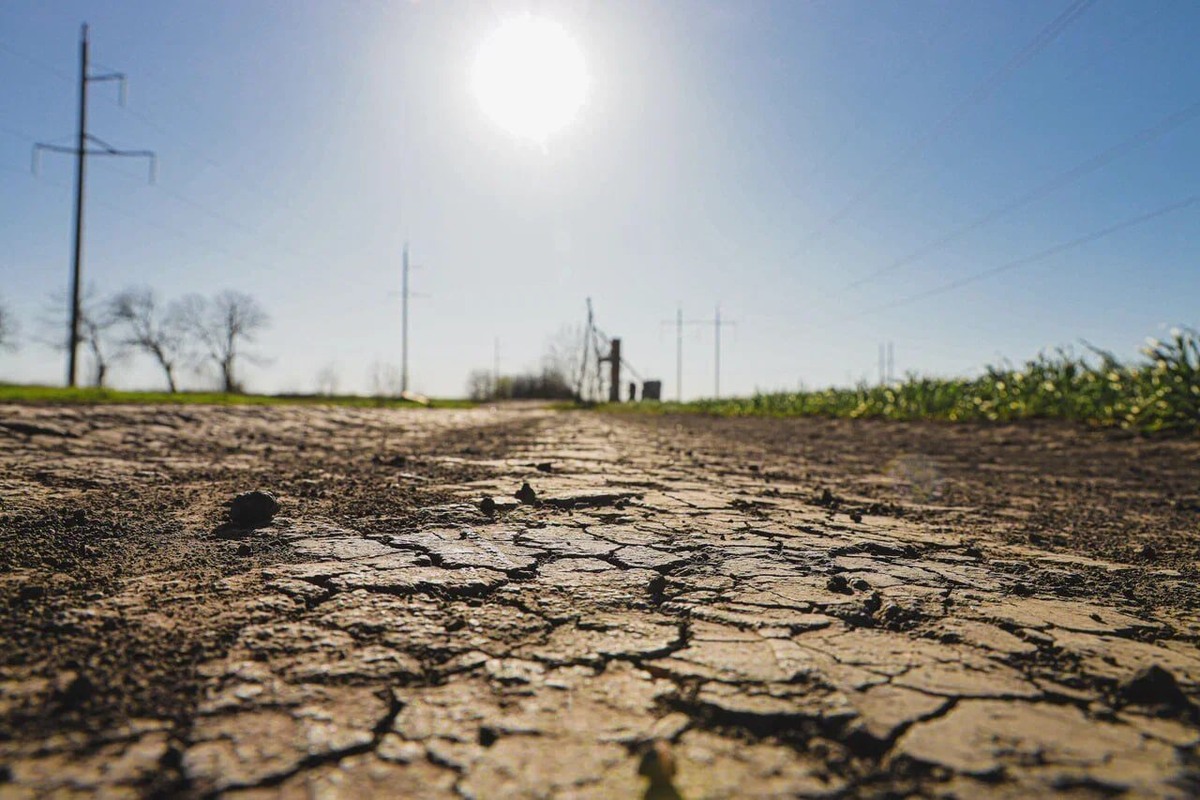    Фото: ТРК «Таврия»