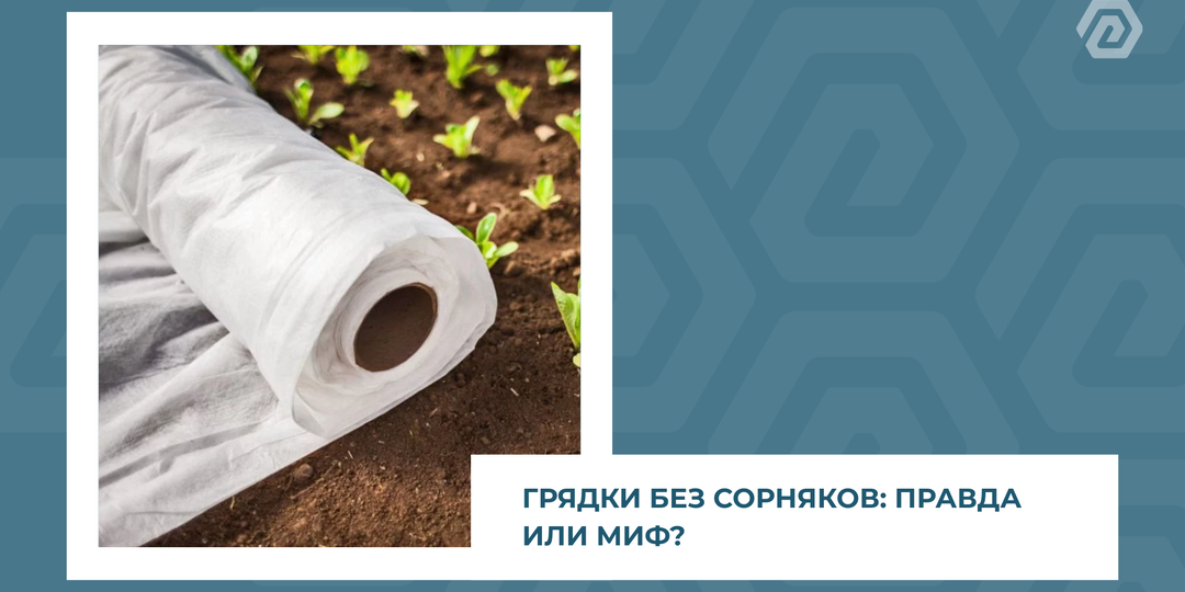 Грядки без сорняков: правда или миф?
