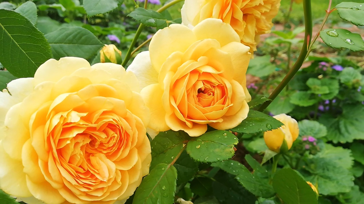 Добавлю солнышк для весеннего настроения