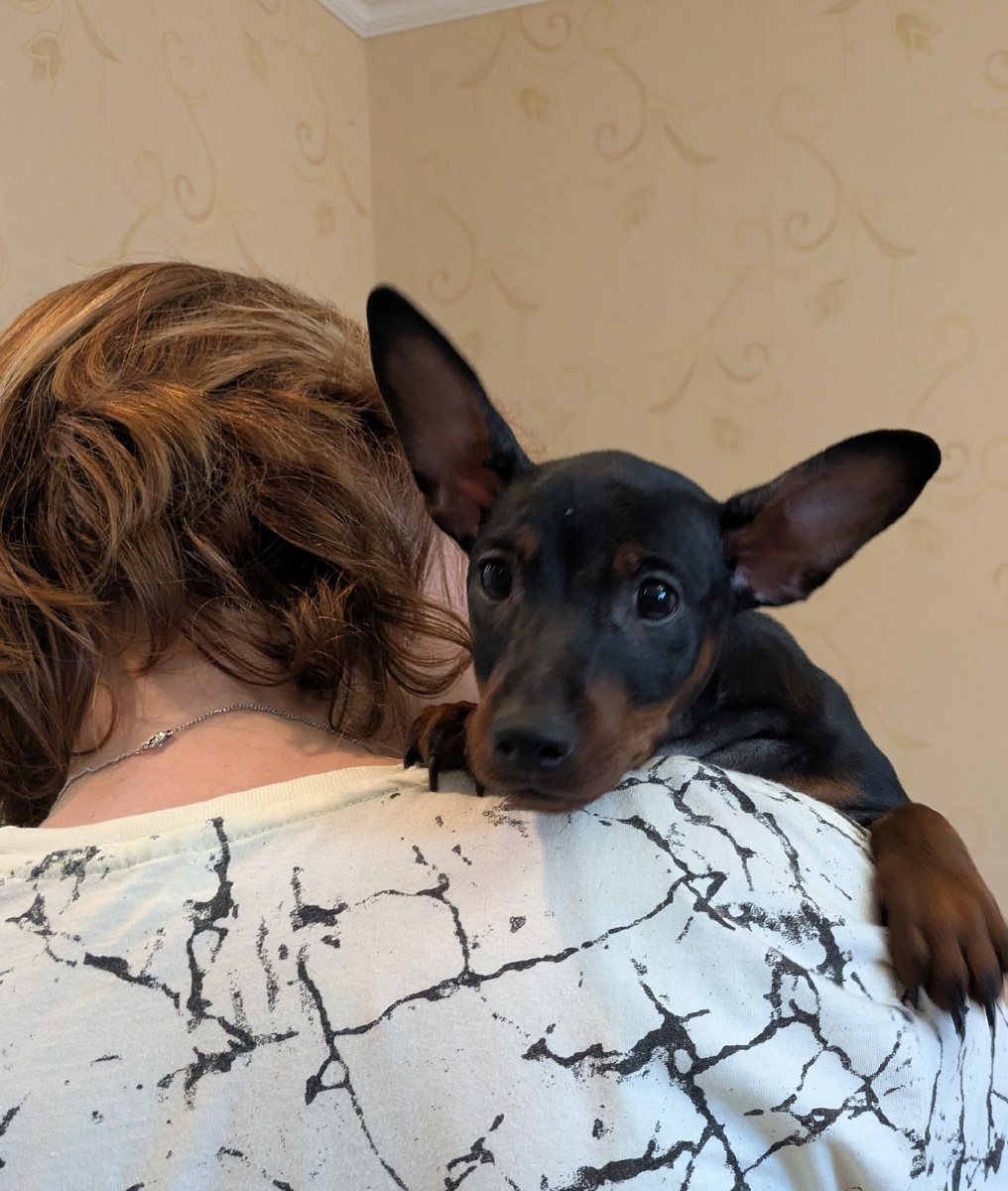 Ох уж эти глазки...