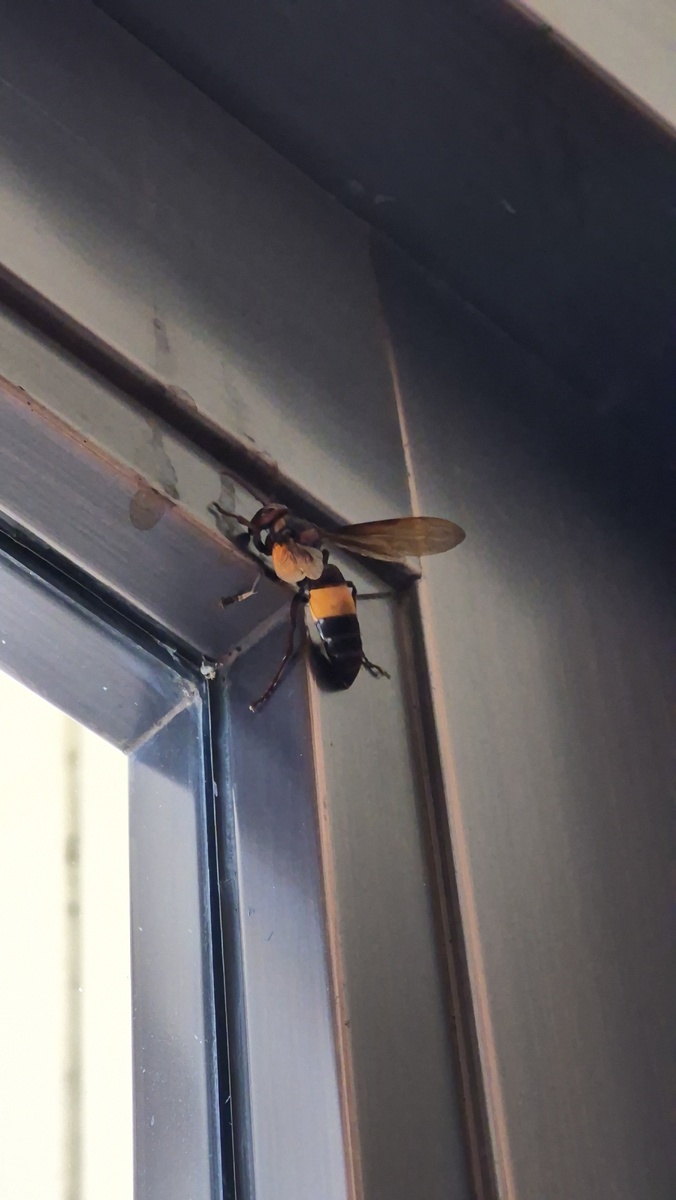 Страшненько