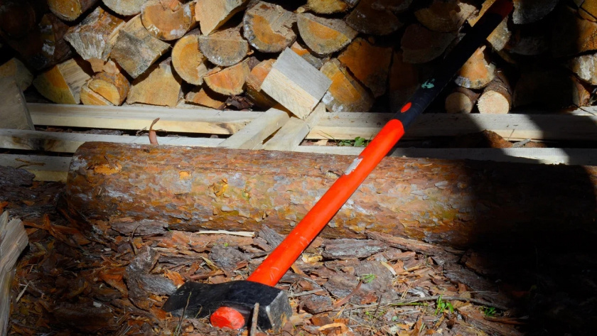    Фотоархив редакции