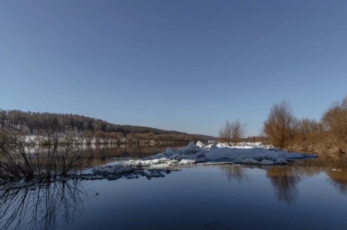    Ока в Калуге поднялась почти на 60 см за день