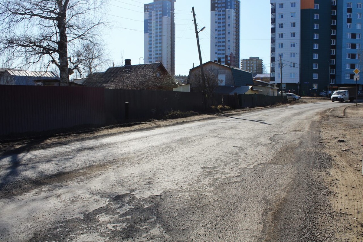    Фото: пресс-служба Петросовета