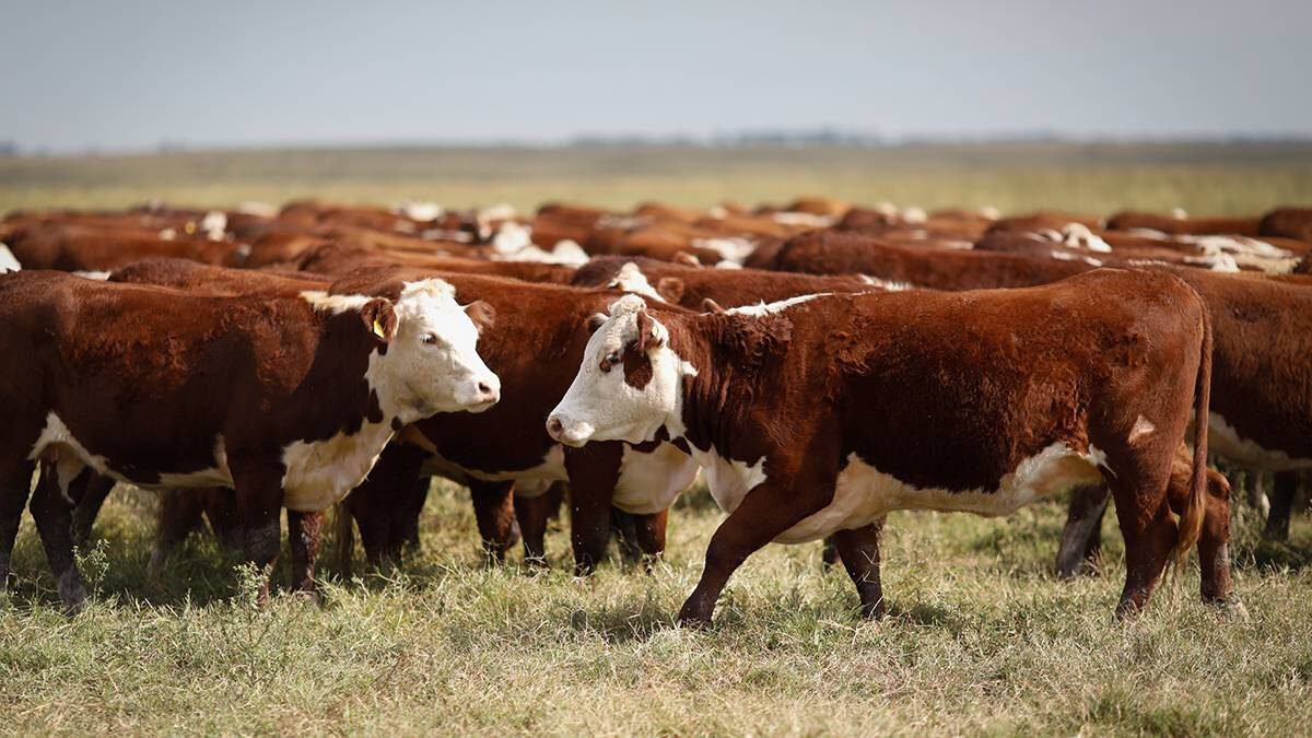    Фото: Shutterstock