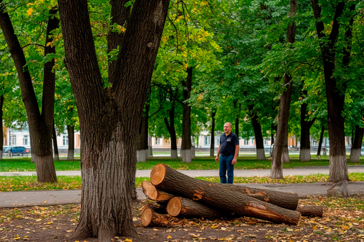    Фото: коллаж RuNews24.ru