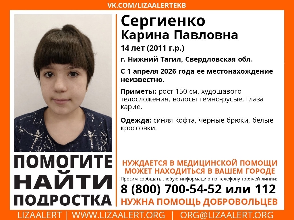 Ориентировка: отряд "ЛизаАлерт"