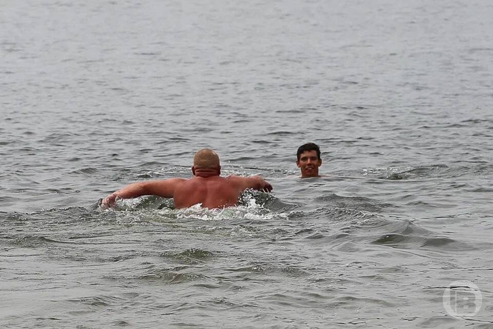    фото: Дмитрий Рогулин / "Городские вести"