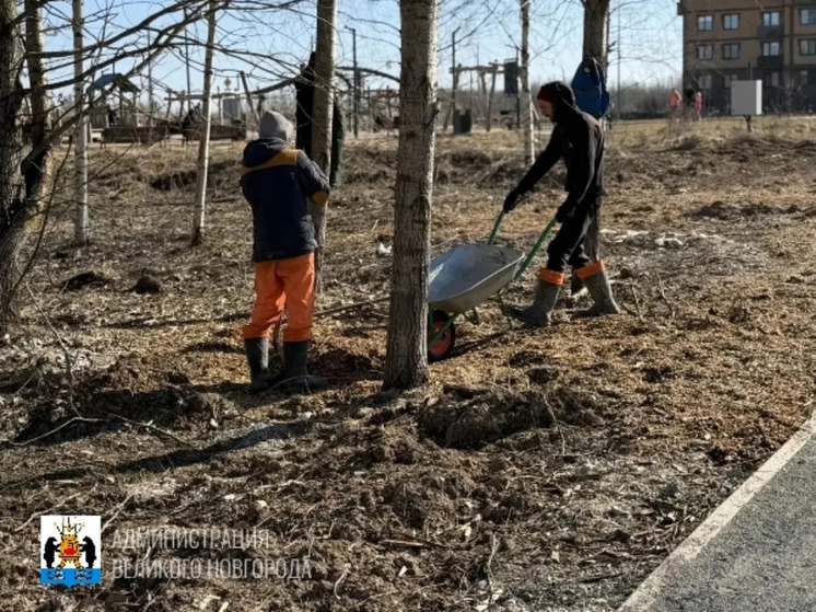     В парке «Берёзовая роща» начался пятый этап благоустройства. Фото: пресс-служба администрации Великого Новгорода